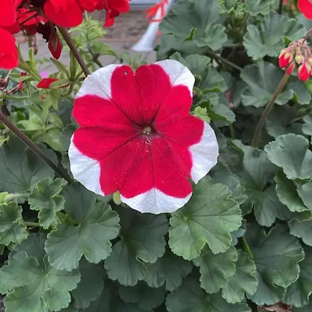 Zwei-raum Fuer Max. 4 Personen