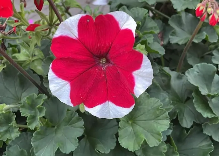 Zwei-raum Fuer Max. 4 Personen